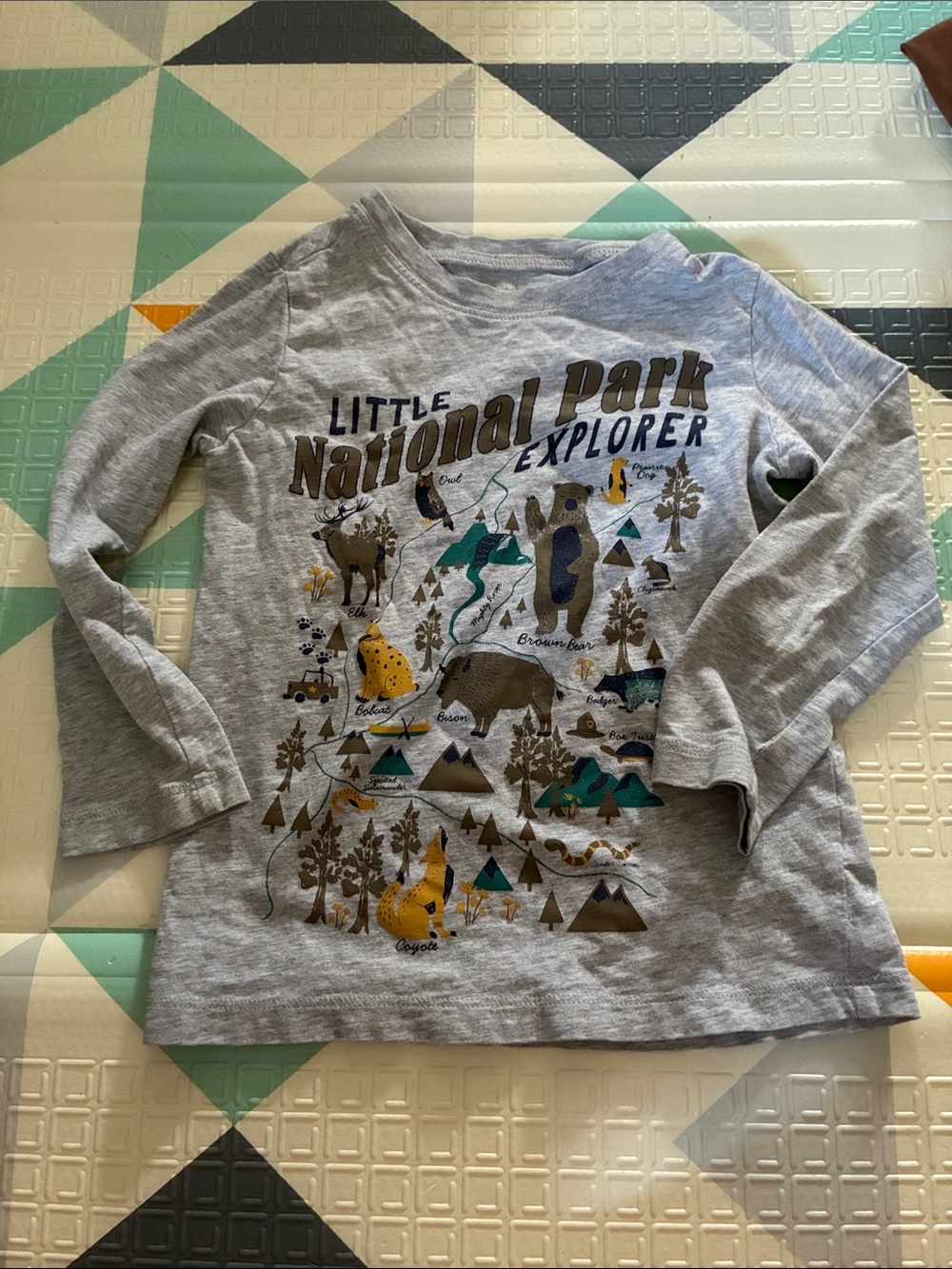 20/25$ 🧸 Little National Park Explorer Long-Sleeve Tee - Gray